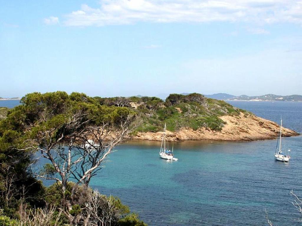 183 ILE DE PORQUEROLLES -3_000013.jpg